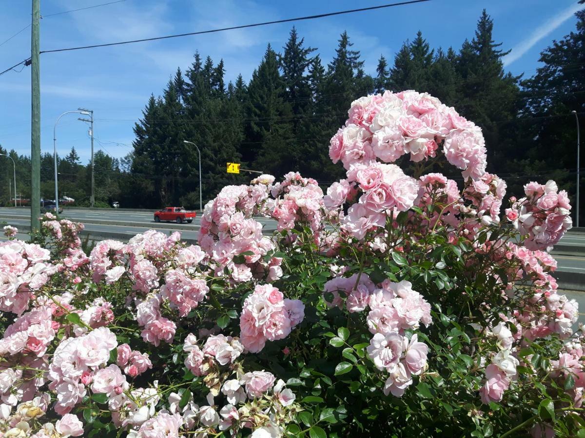 Fuller Lake Chemainus Motel Esterno foto
